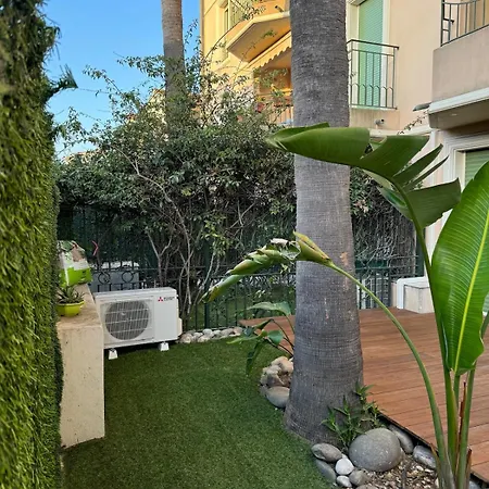 L 'amaryllis Sanary-sur-Mer